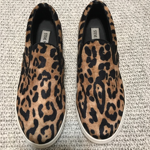 Steve Madden Shoes - Steve Madden Ecentric- leopard sneakers